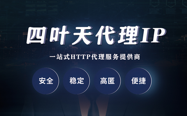 【荆门代理IP】代理ip客户端使用教程